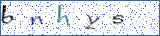 Type the letters shown in the picture