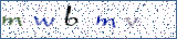 Type the letters shown in the picture