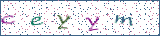 Type the letters shown in the picture
