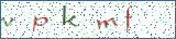 Type the letters shown in the picture