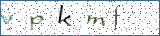 Type the letters shown in the picture