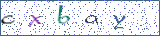 Type the letters shown in the picture
