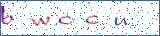 Type the letters shown in the picture