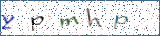 Type the letters shown in the picture