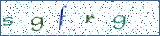 Type the letters shown in the picture