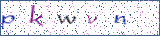 Type the letters shown in the picture