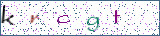 Type the letters shown in the picture
