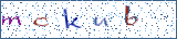 Type the letters shown in the picture