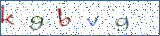 Type the letters shown in the picture