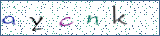 Type the letters shown in the picture