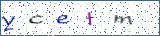 Type the letters shown in the picture