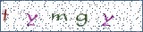 Type the letters shown in the picture