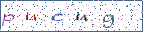 Type the letters shown in the picture