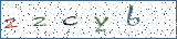 Type the letters shown in the picture