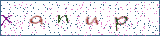 Type the letters shown in the picture