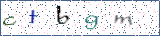 Type the letters shown in the picture