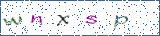 Type the letters shown in the picture