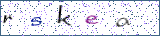 Type the letters shown in the picture