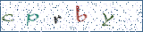 Type the letters shown in the picture