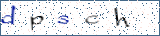 Type the letters shown in the picture