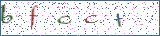 Type the letters shown in the picture