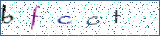 Type the letters shown in the picture