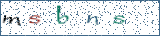 Type the letters shown in the picture