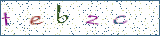 Type the letters shown in the picture