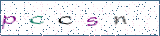 Type the letters shown in the picture