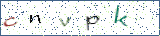 Type the letters shown in the picture