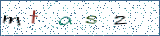 Type the letters shown in the picture