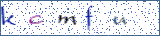 Type the letters shown in the picture
