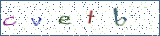 Type the letters shown in the picture