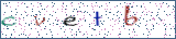 Type the letters shown in the picture
