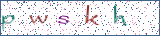 Type the letters shown in the picture