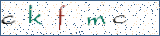 Type the letters shown in the picture