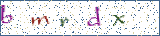 Type the letters shown in the picture