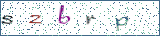 Type the letters shown in the picture