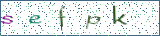 Type the letters shown in the picture