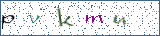 Type the letters shown in the picture