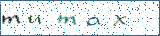 Type the letters shown in the picture