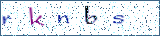 Type the letters shown in the picture