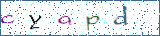 Type the letters shown in the picture