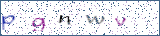 Type the letters shown in the picture