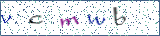 Type the letters shown in the picture
