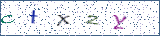 Type the letters shown in the picture