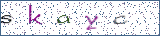 Type the letters shown in the picture