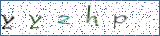 Type the letters shown in the picture