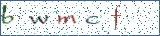 Type the letters shown in the picture