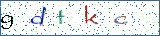 Type the letters shown in the picture